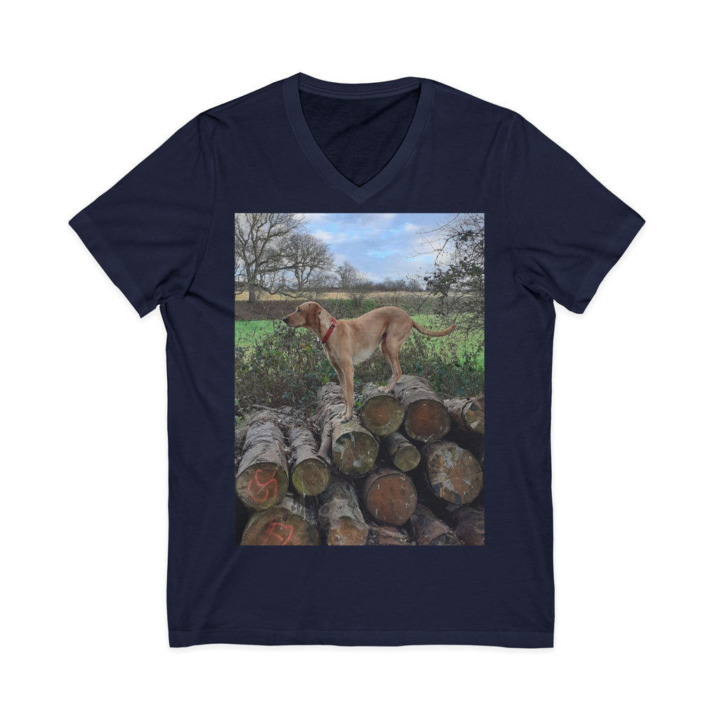 Unisex Jersey Short Sleeve V-Neck Tee
