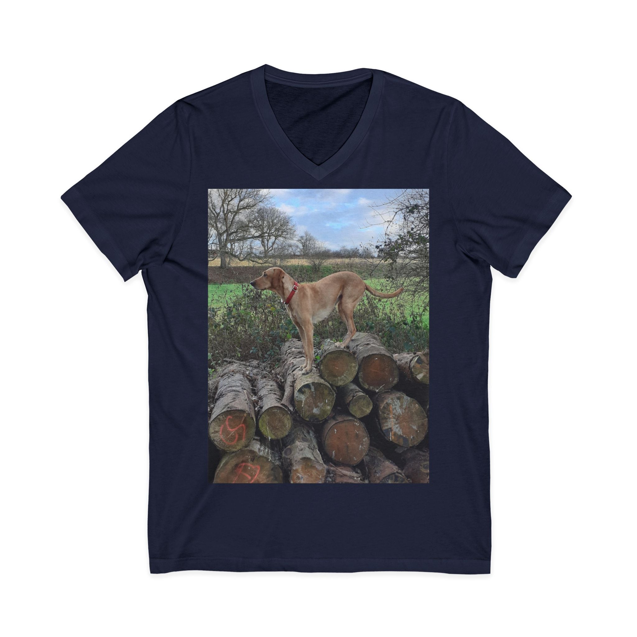 Unisex Jersey Short Sleeve V-Neck Tee
