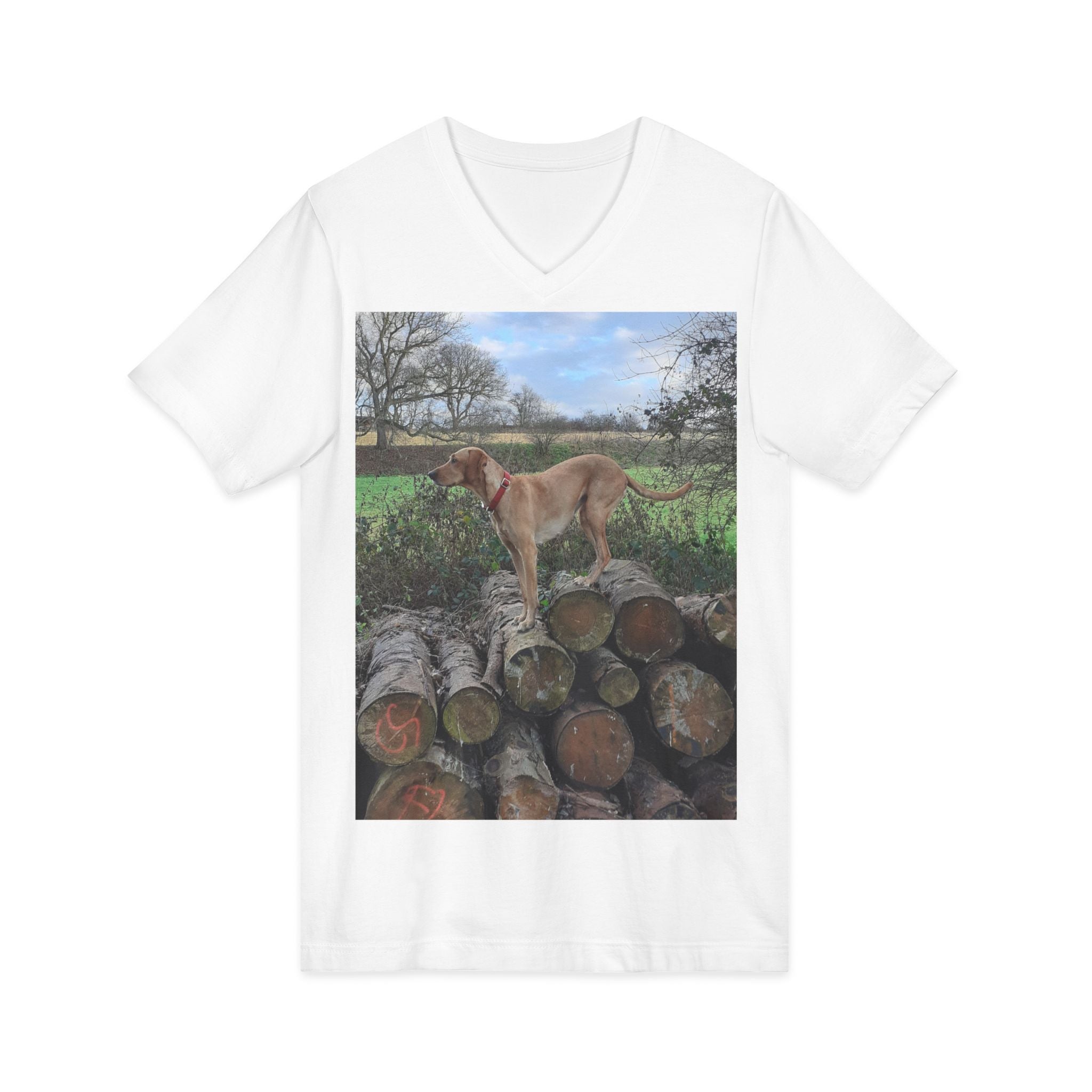 Unisex Jersey Short Sleeve V-Neck Tee