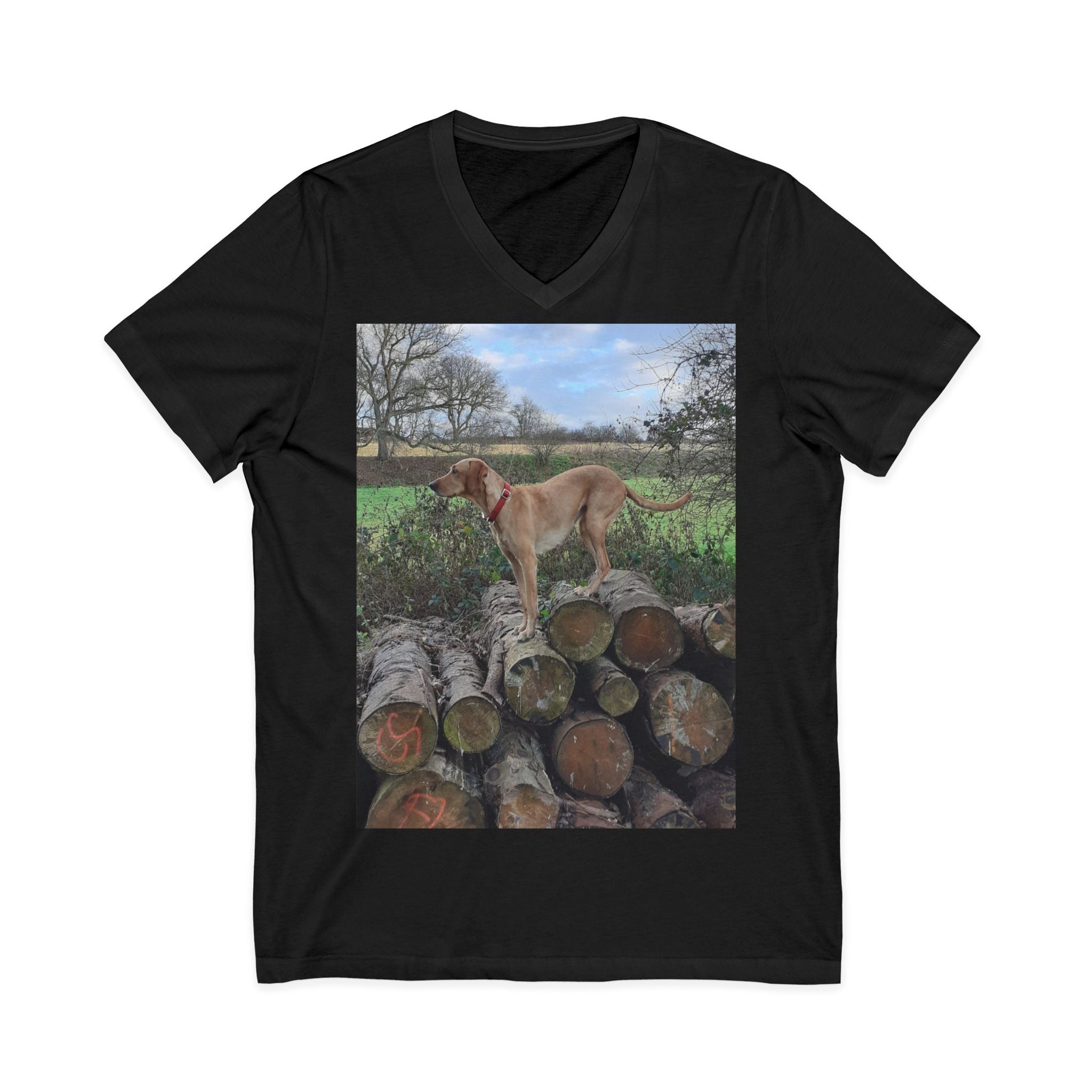 Unisex Jersey Short Sleeve V-Neck Tee