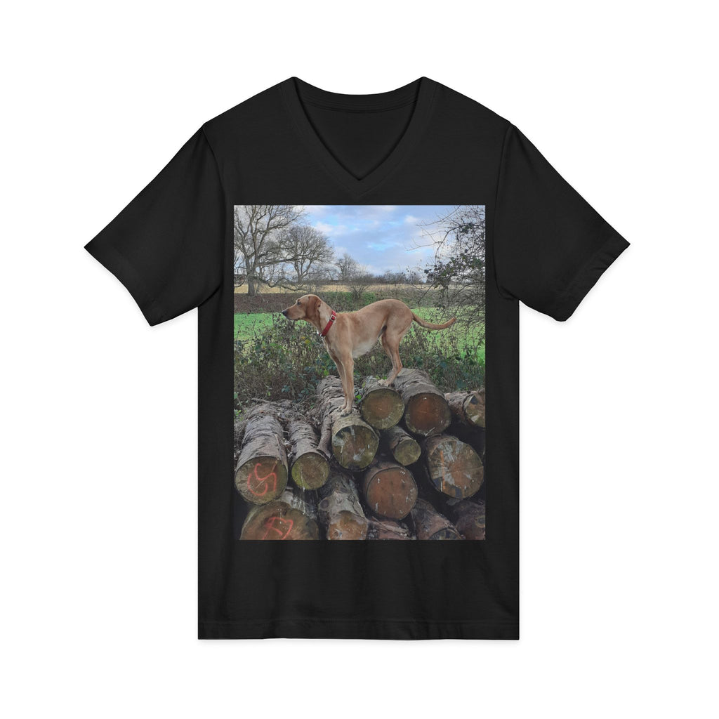 Unisex Jersey Short Sleeve V-Neck Tee