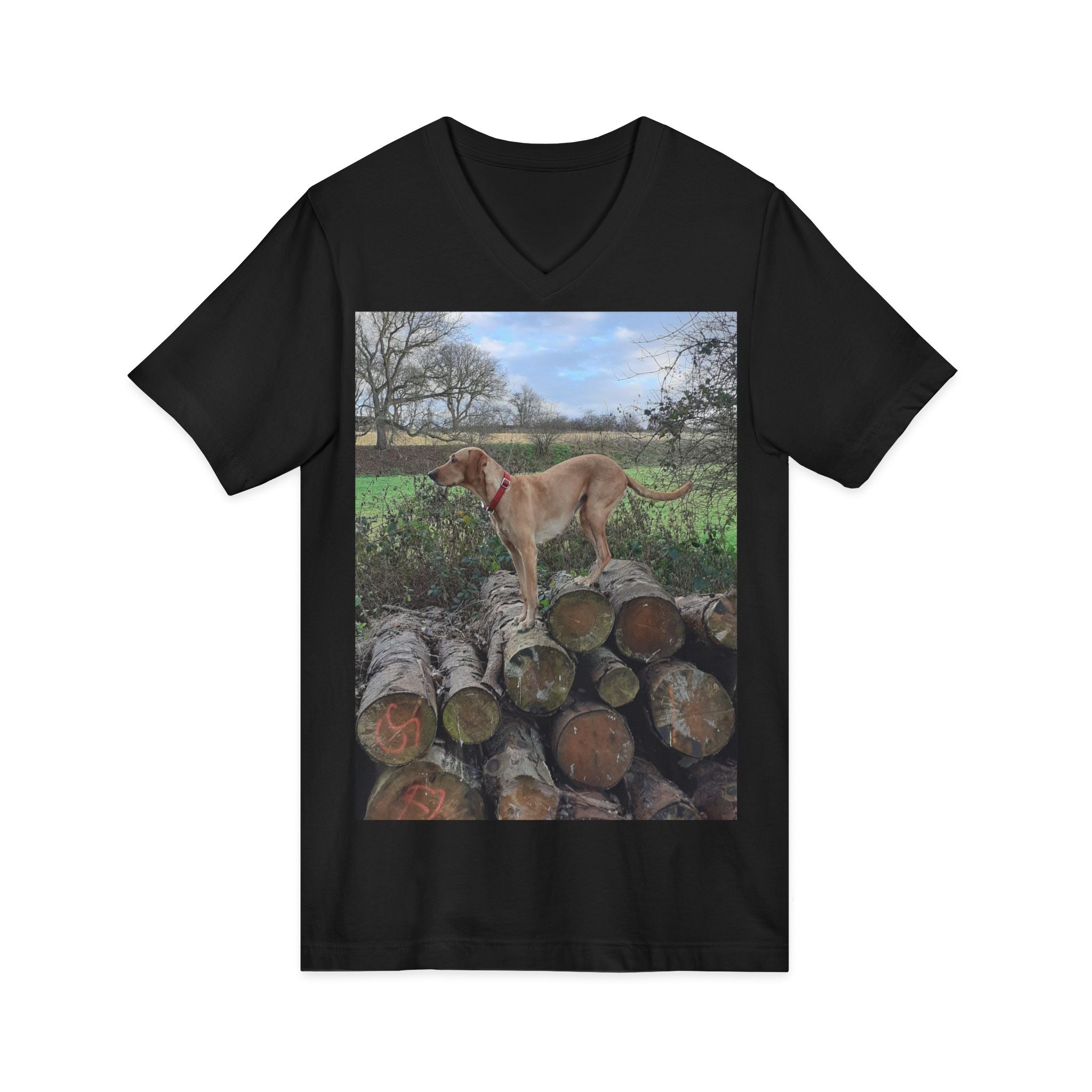 Unisex Jersey Short Sleeve V-Neck Tee