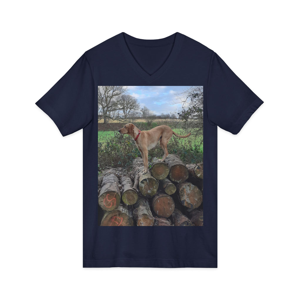 Unisex Jersey Short Sleeve V-Neck Tee