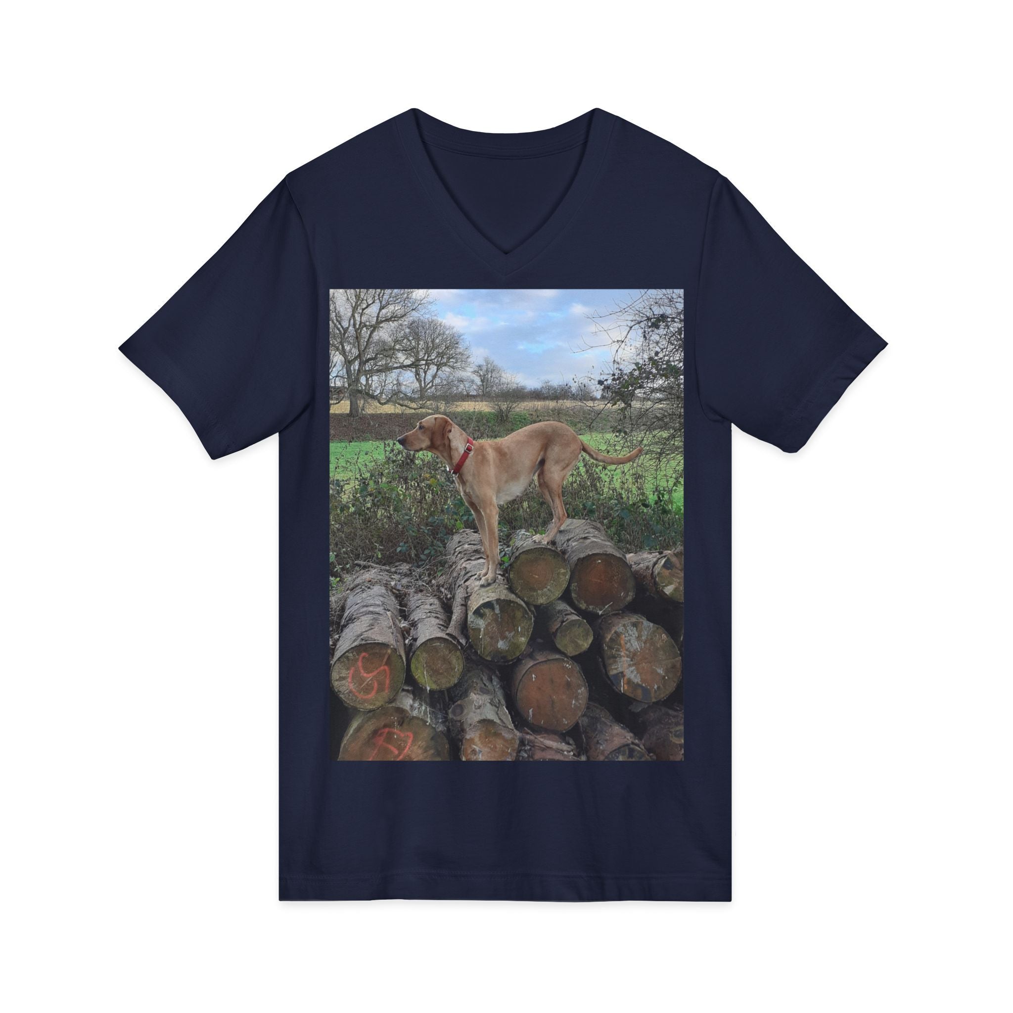 Unisex Jersey Short Sleeve V-Neck Tee